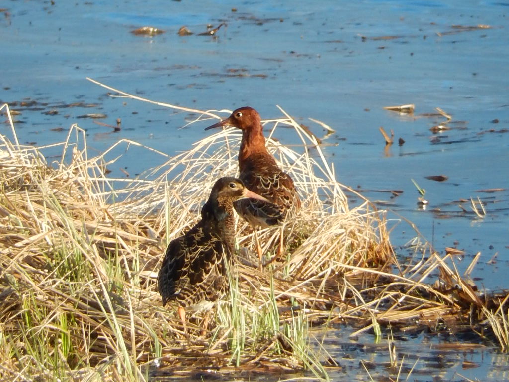 Valokuvaaja: Pirkko Siukonen