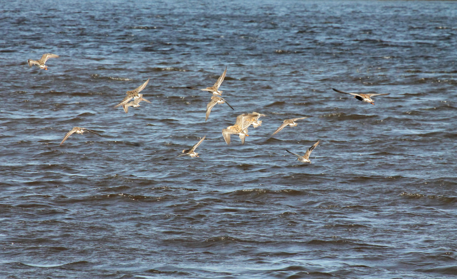 Valokuvaaja: Katri Mäkinen Valokuvaaja: Katri Mäkinen