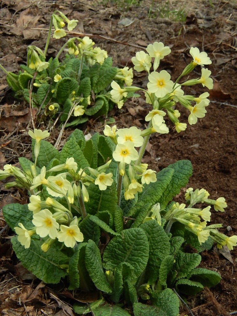 Valokuvaaja: Pirkko Siukonen