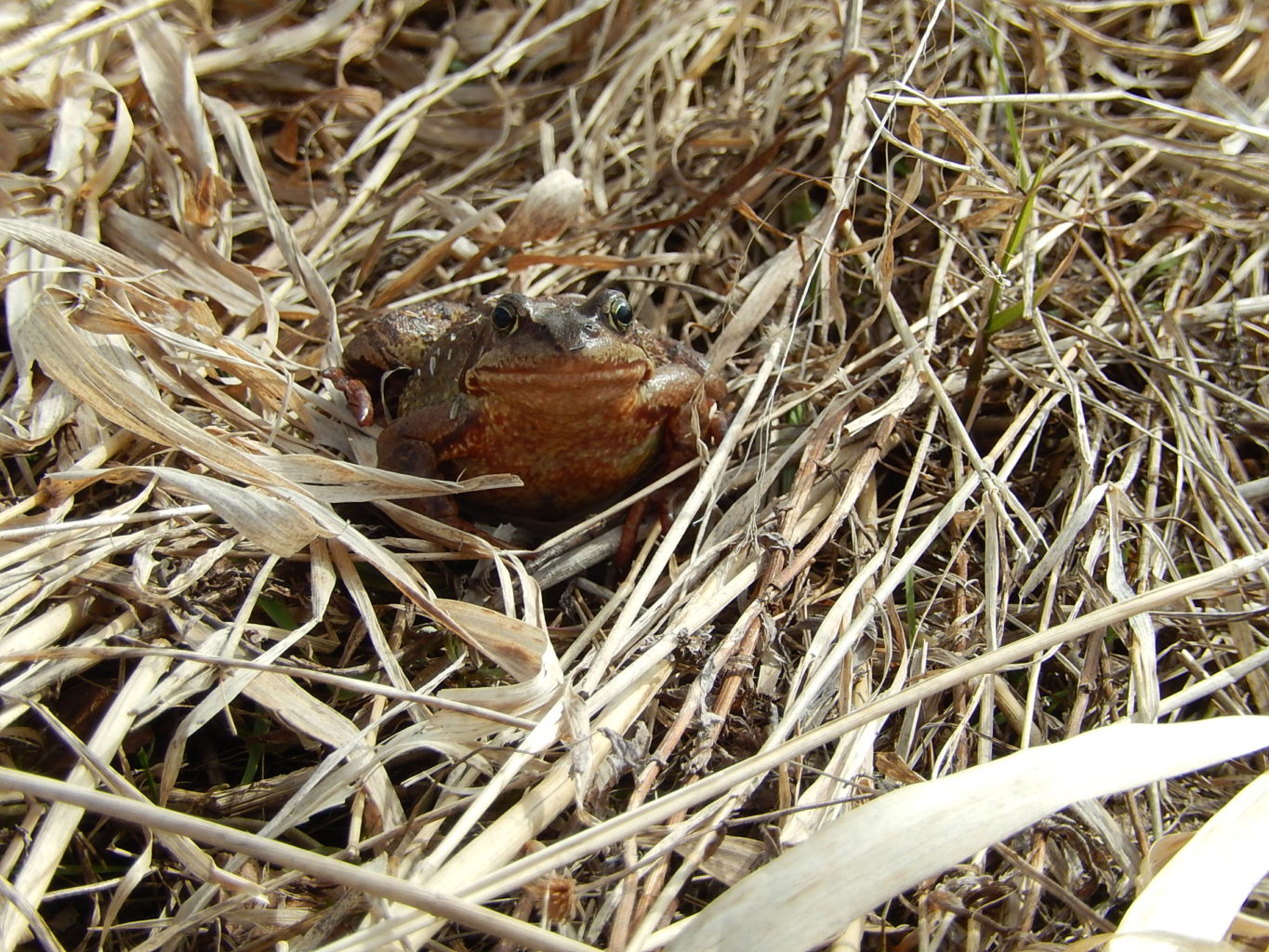 Valokuvaaja: Pirkko Siukonen