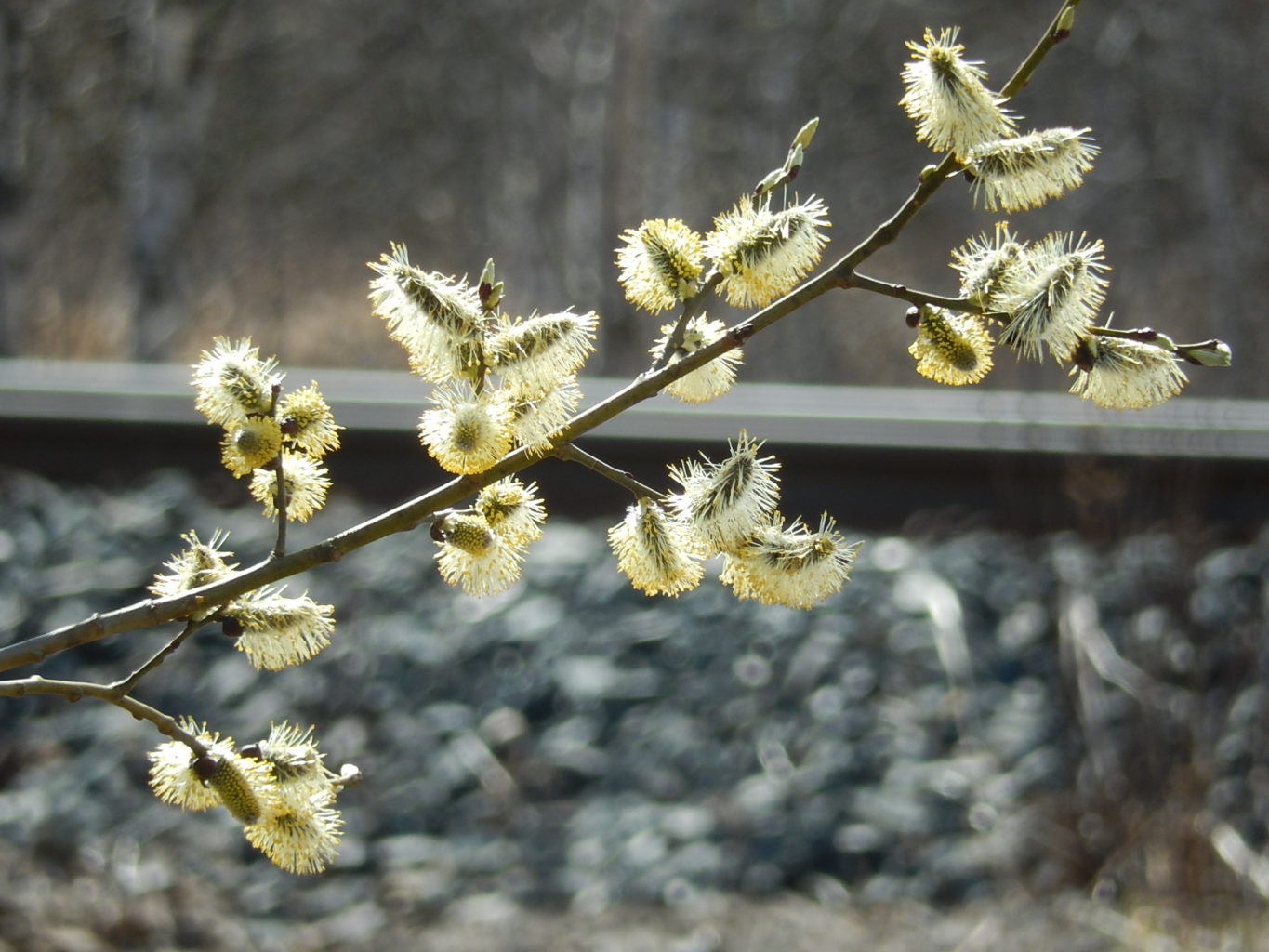 Valokuvaaja: Pirkko Siukonen