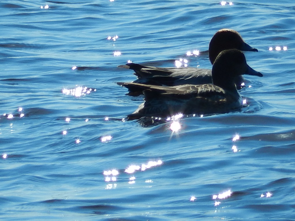 Valokuvaaja: Pirkko Siukonen