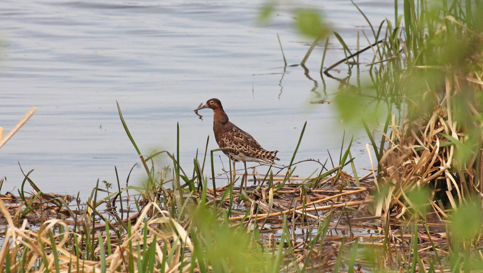 Valokuvaaja: Katri Mäkinen