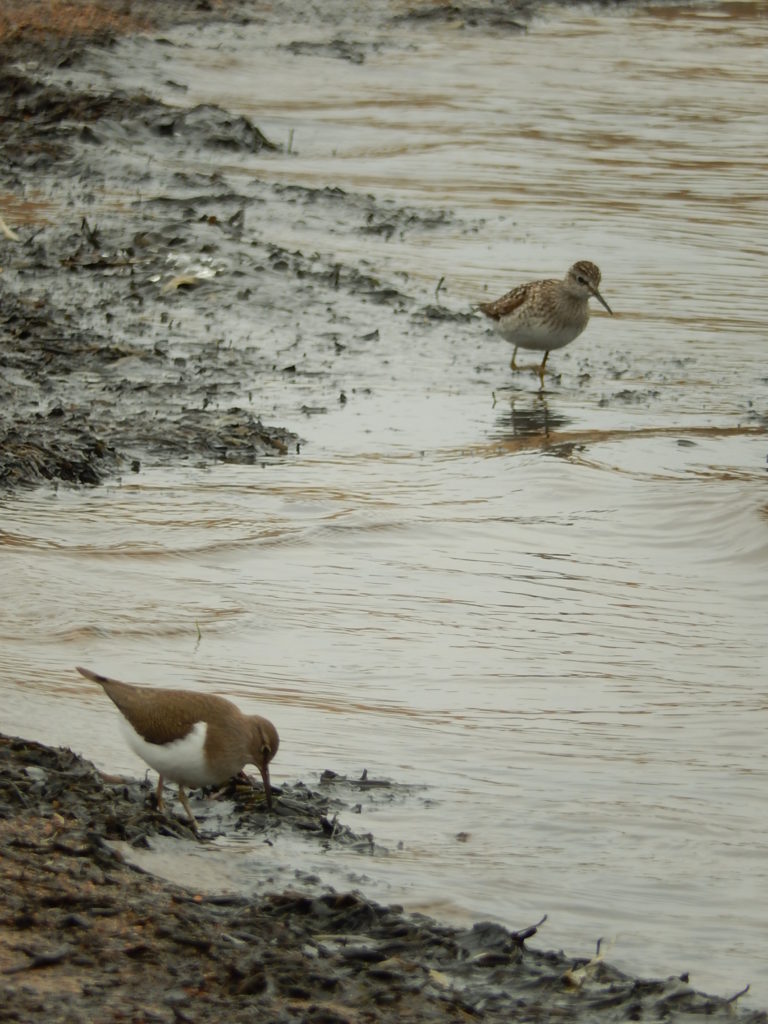 Valokuvaaja: Pirkko Siukonen