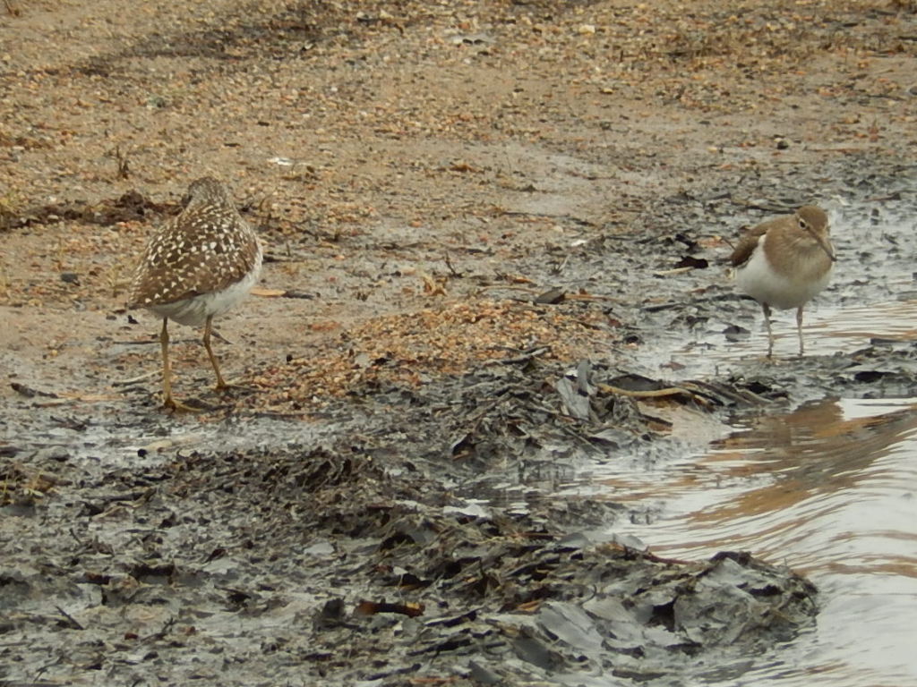 Valokuvaaja: Pirkko Siukonen