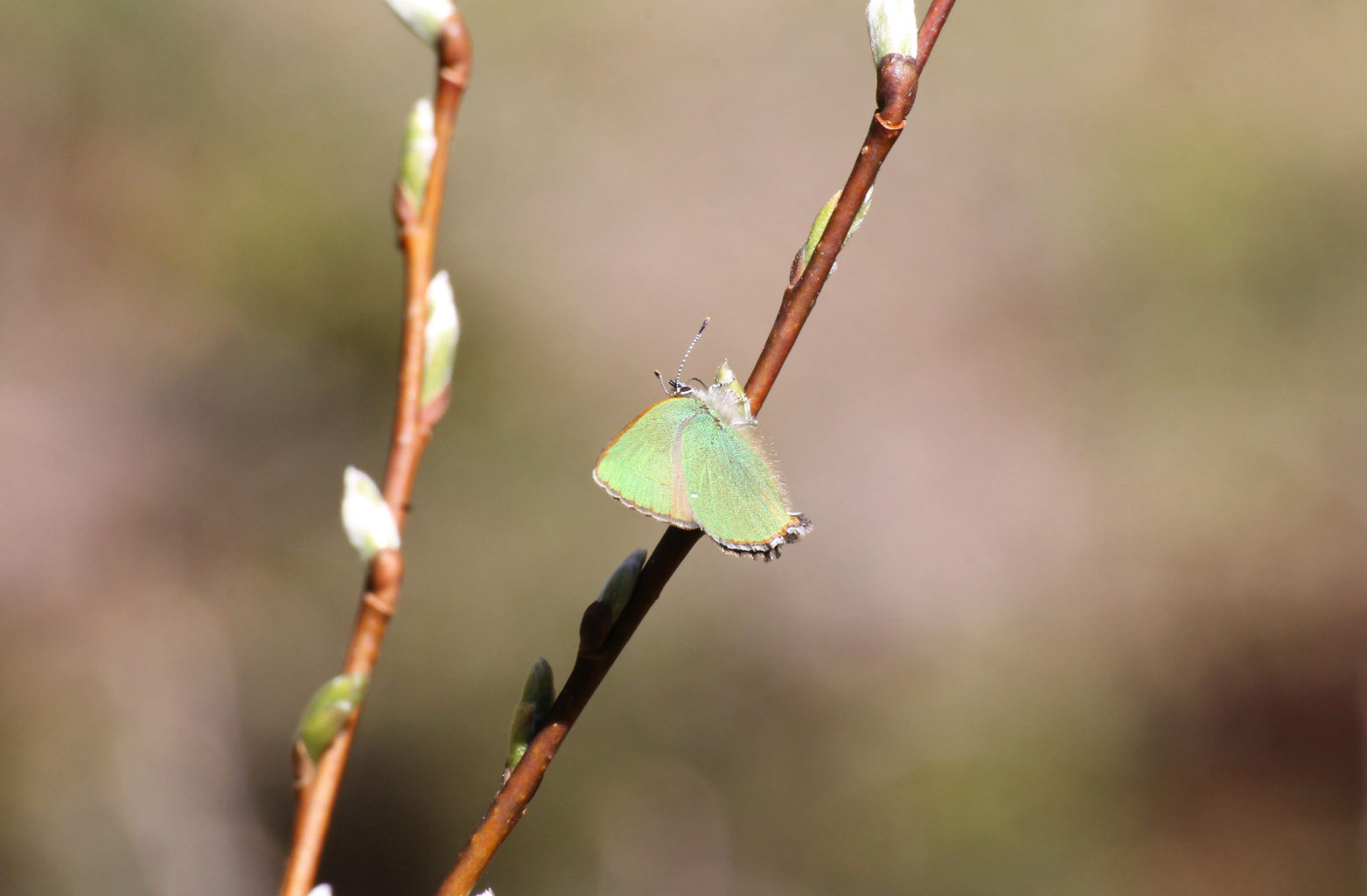 Valokuvaaja: Katri Mäkinen