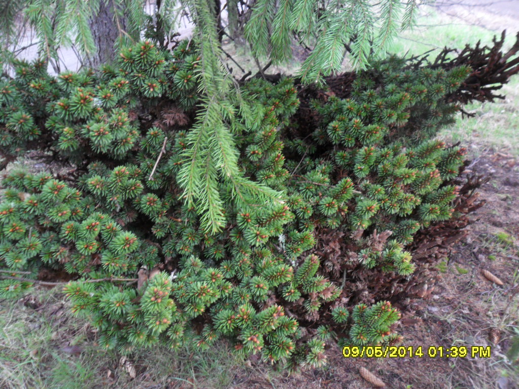 Valokuvaaja: Tarja Kalmari