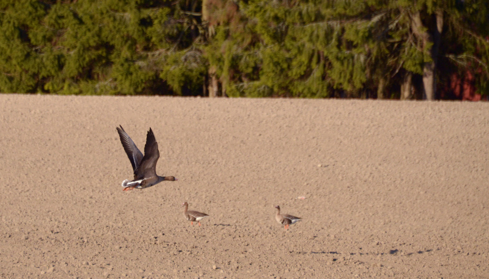Valokuvaaja: Joni Sundström