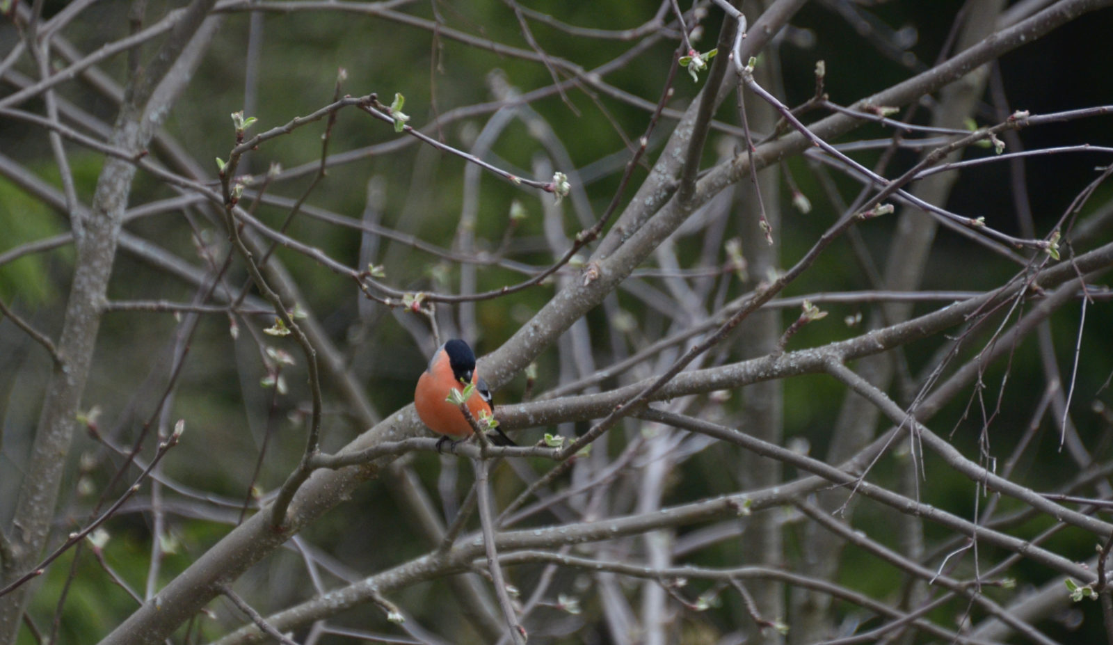 Valokuvaaja: Joni Sundström