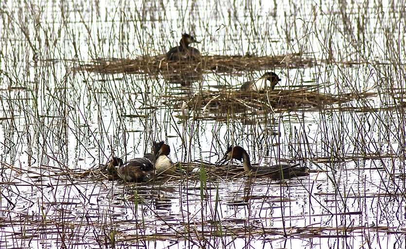 Valokuvaaja: Eija Lehto