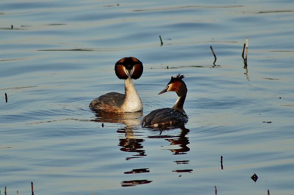 Valokuvaaja: Maarit Siitonen