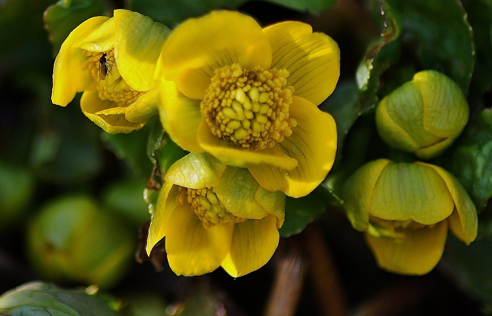 Valokuvaaja: Maarit Siitonen