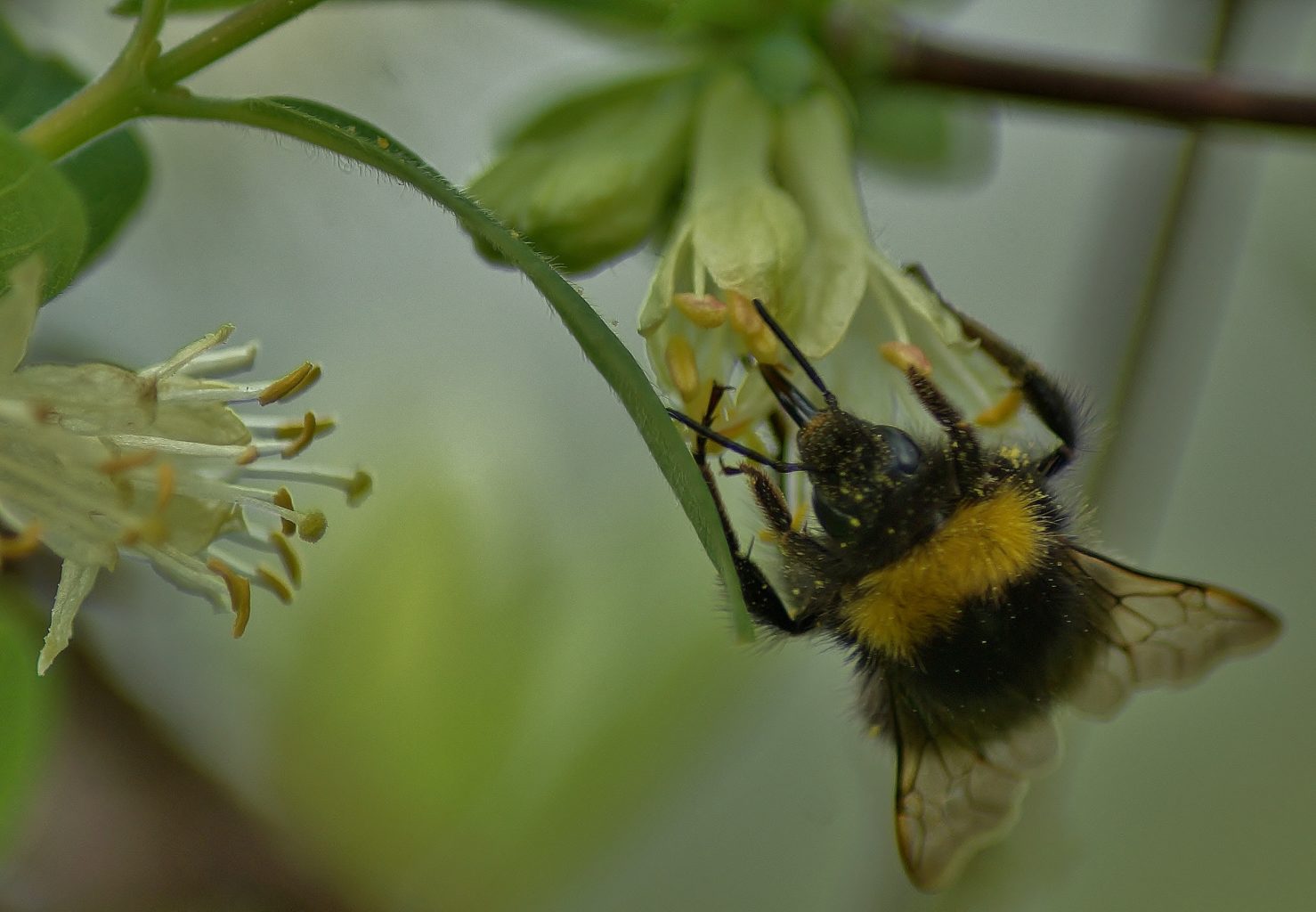 Valokuvaaja: Maarit Siitonen
