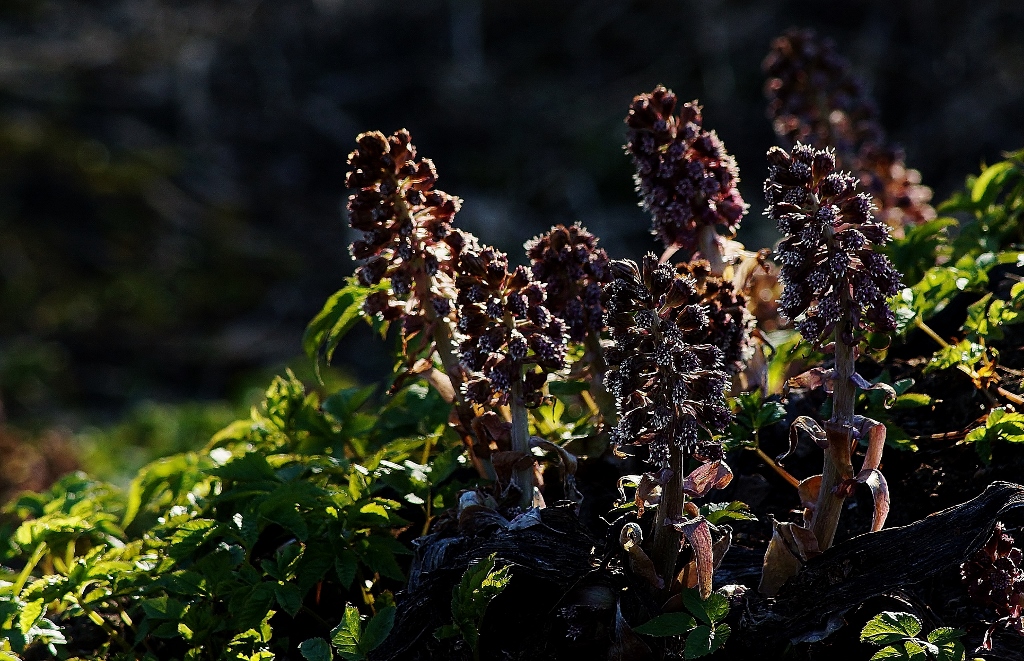 Valokuvaaja: Maarit Siitonen