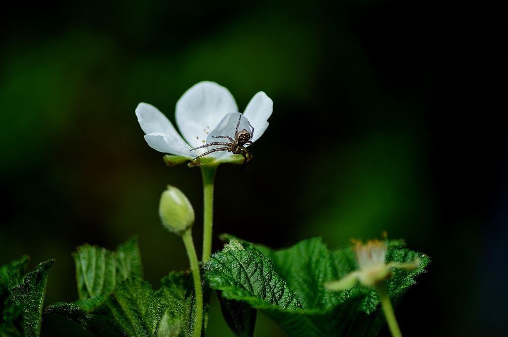 Valokuvaaja: Maarit Siitonen
