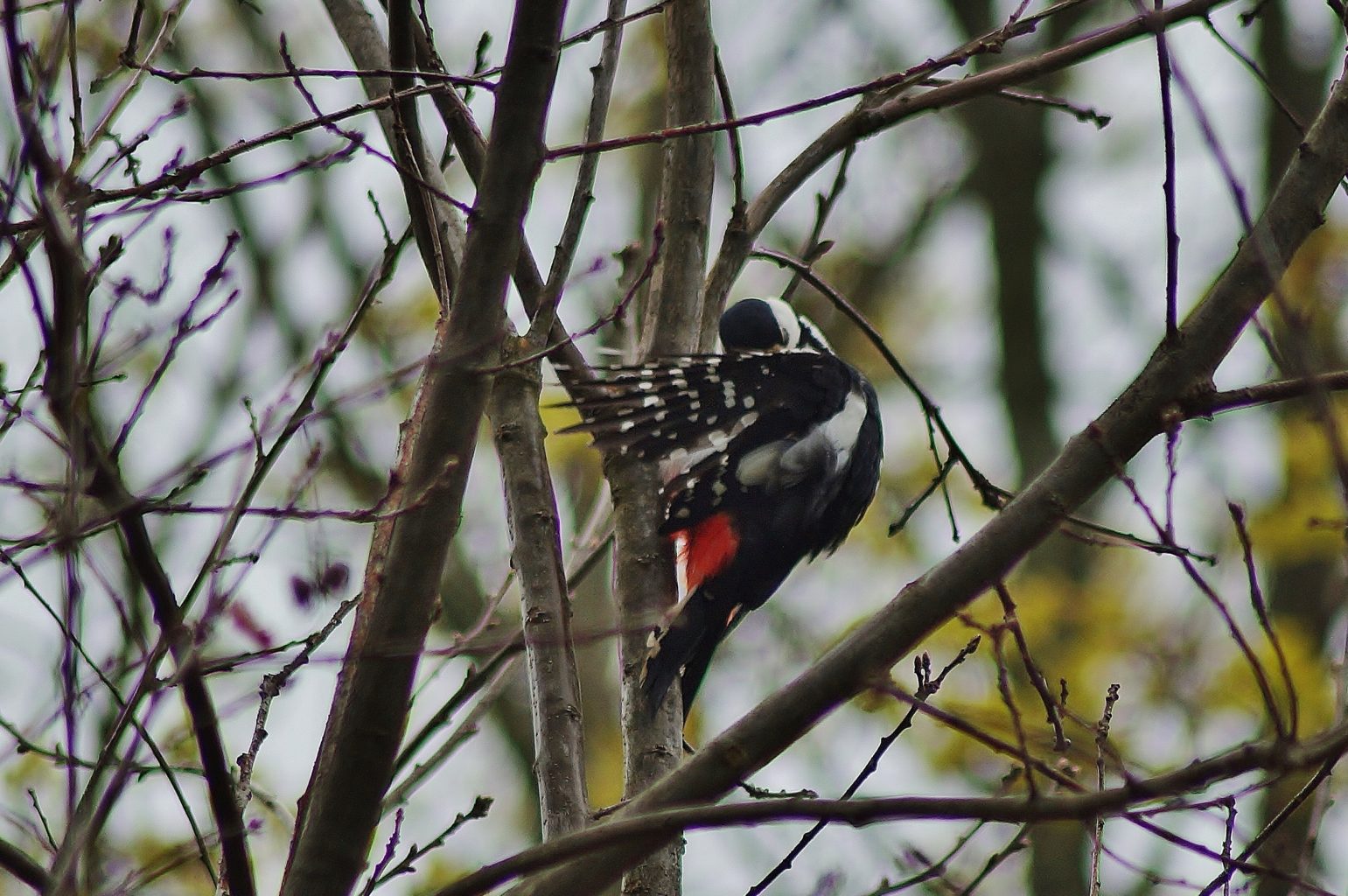 Valokuvaaja: Maarit Siitonen