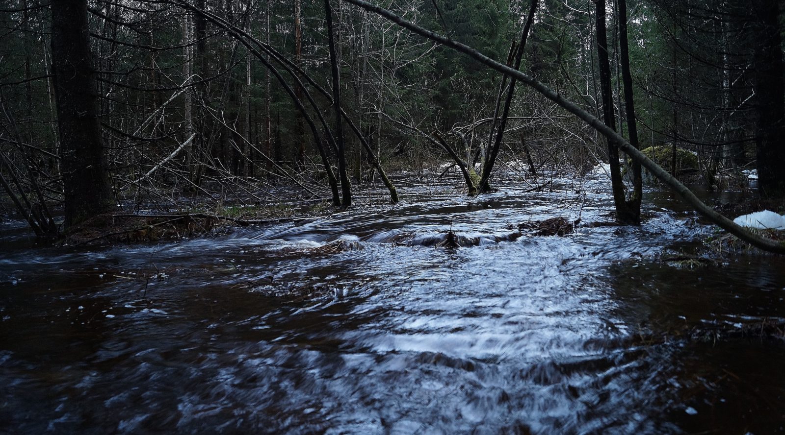 Valokuvaaja: Kukka Pakarinen