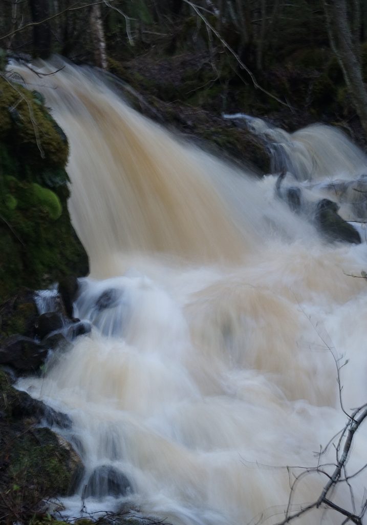 Valokuvaaja: Kukka Pakarinen Valokuvaaja: Kukka Pakarinen