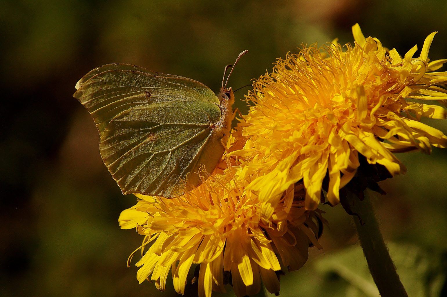 Valokuvaaja: Maarit Siitonen