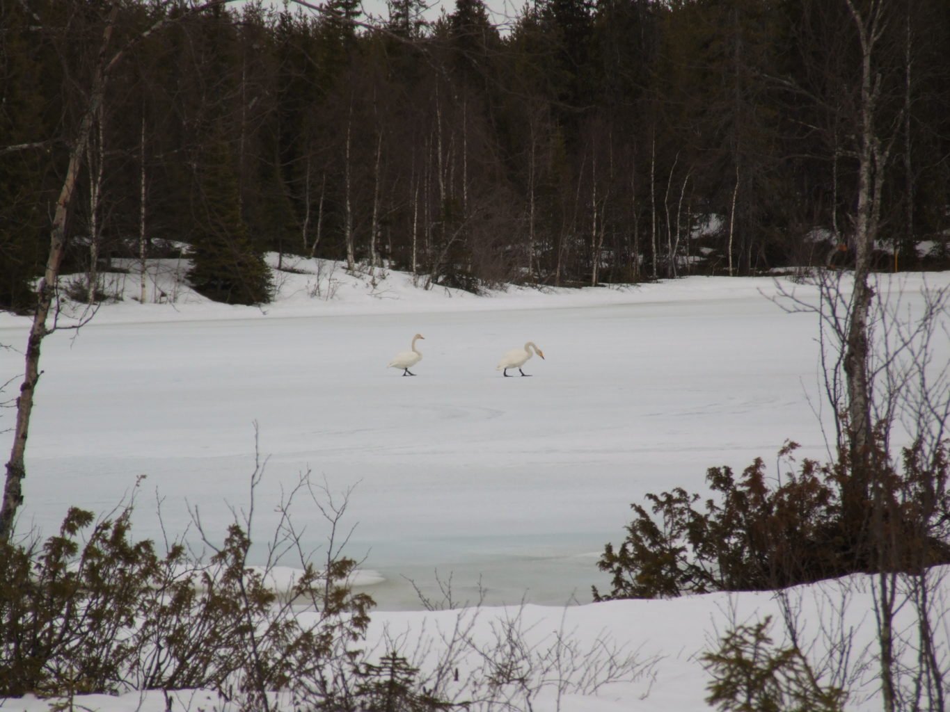 Valokuvaaja: Jouni Riekki