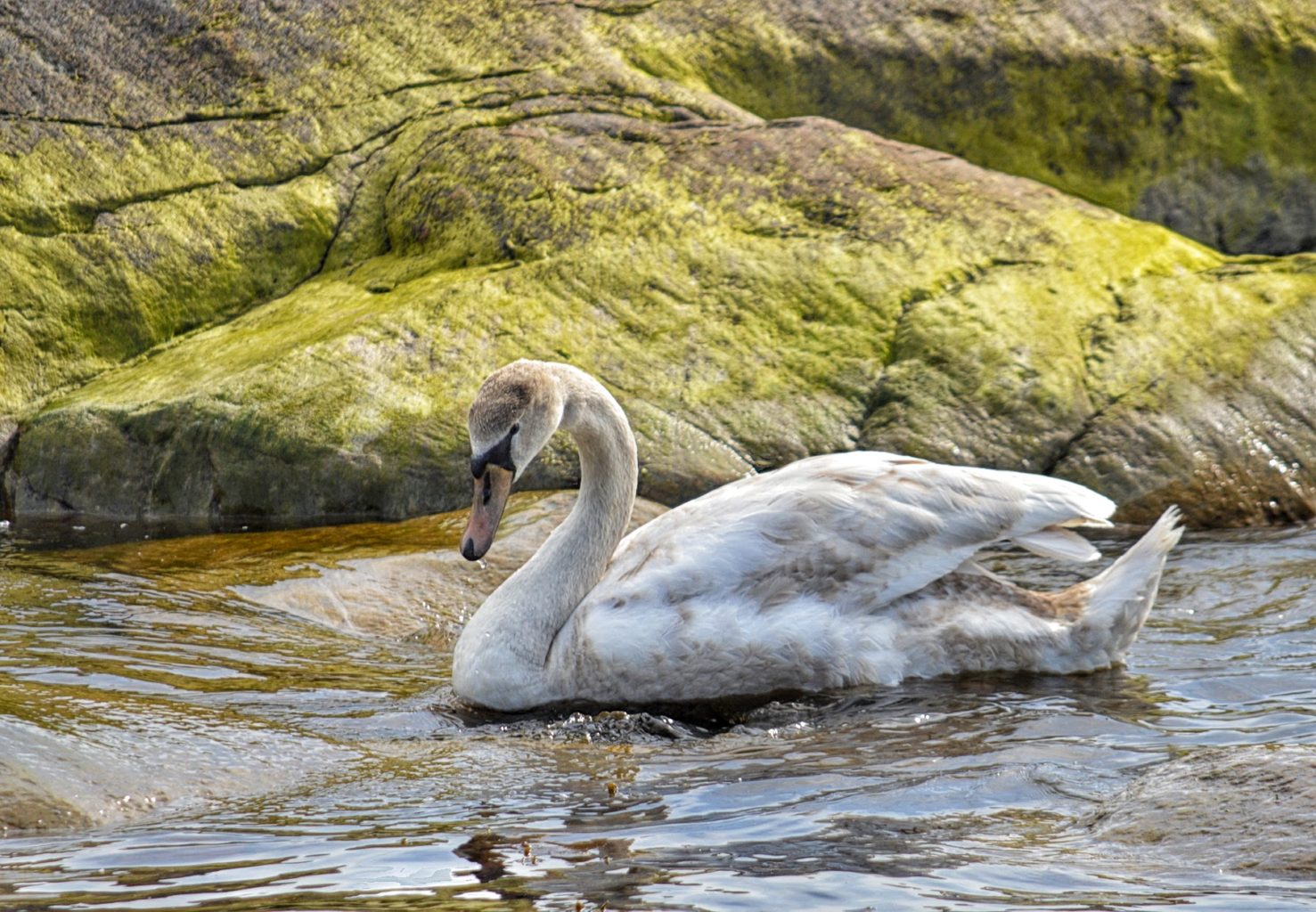 Valokuvaaja: Arja Tappola Valokuvaaja: Arja Tappola