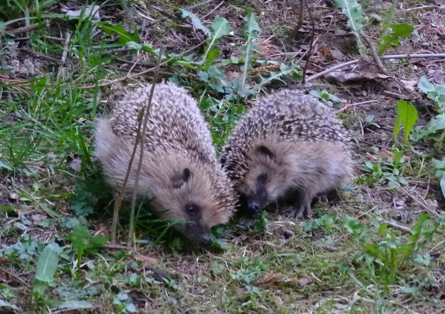 Valokuvaaja: Tuula Vilva Valokuvaaja: Tuula Vilva