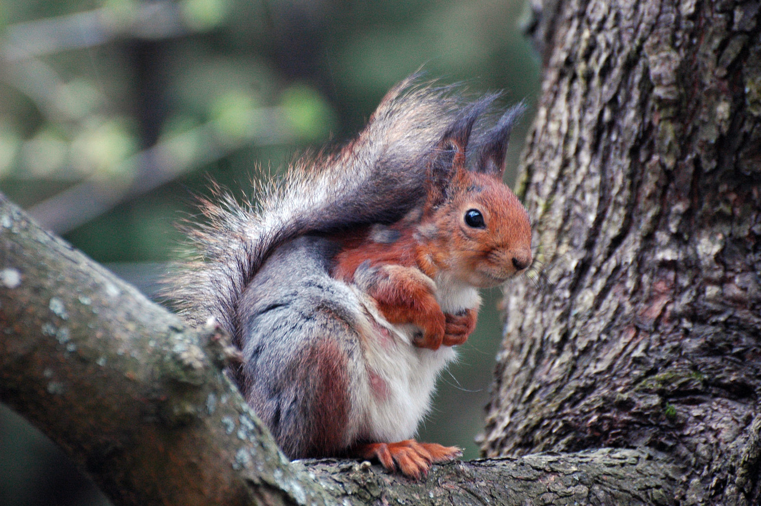 Valokuvaaja: Paavo Siukonen