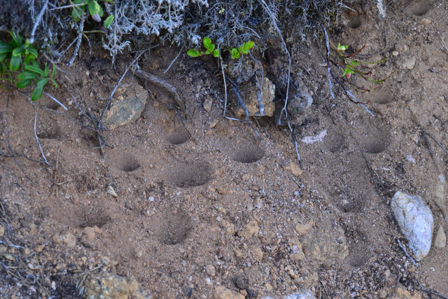 Valokuvaaja: Jesper Andersson