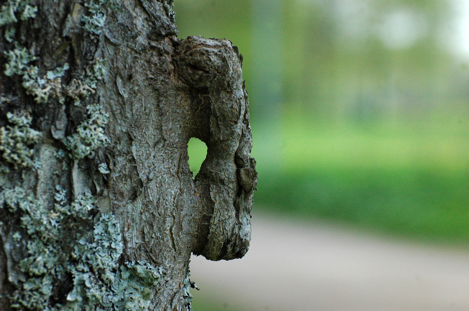 Valokuvaaja: Paavo Siukonen