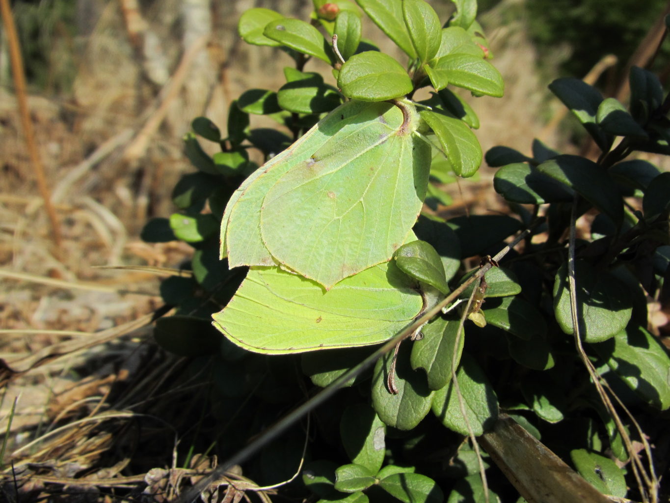 Valokuvaaja: Olavi Niemi