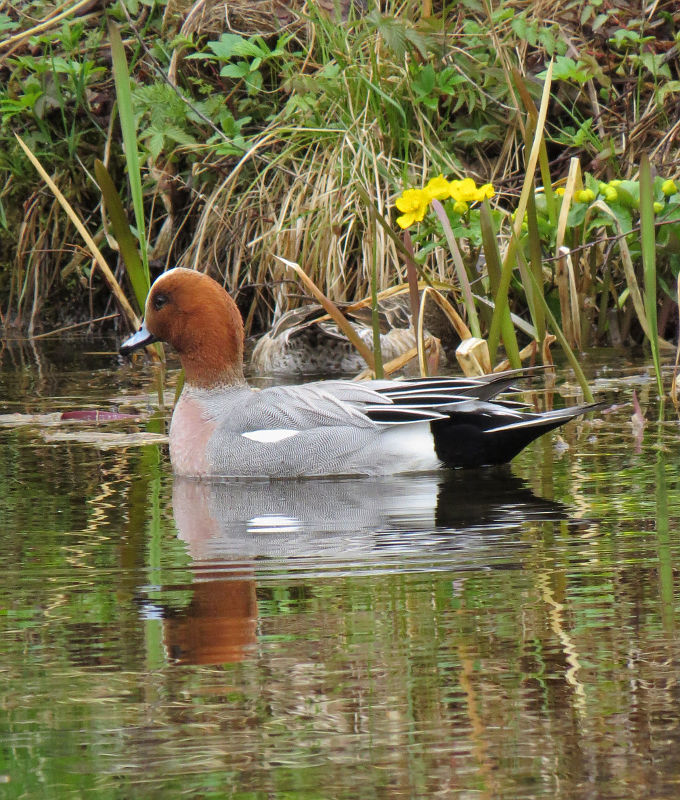 Valokuvaaja: Jaana Talvinen