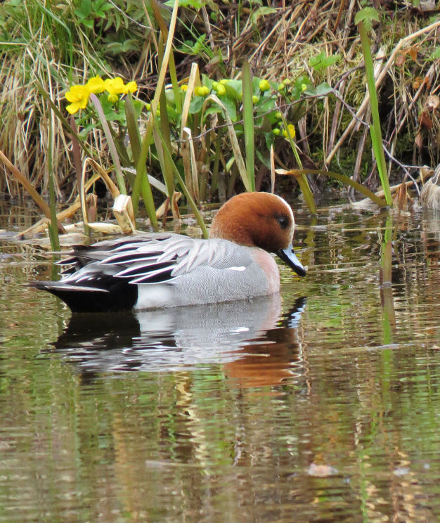 Valokuvaaja: Jaana Talvinen Valokuvaaja: Jaana Talvinen