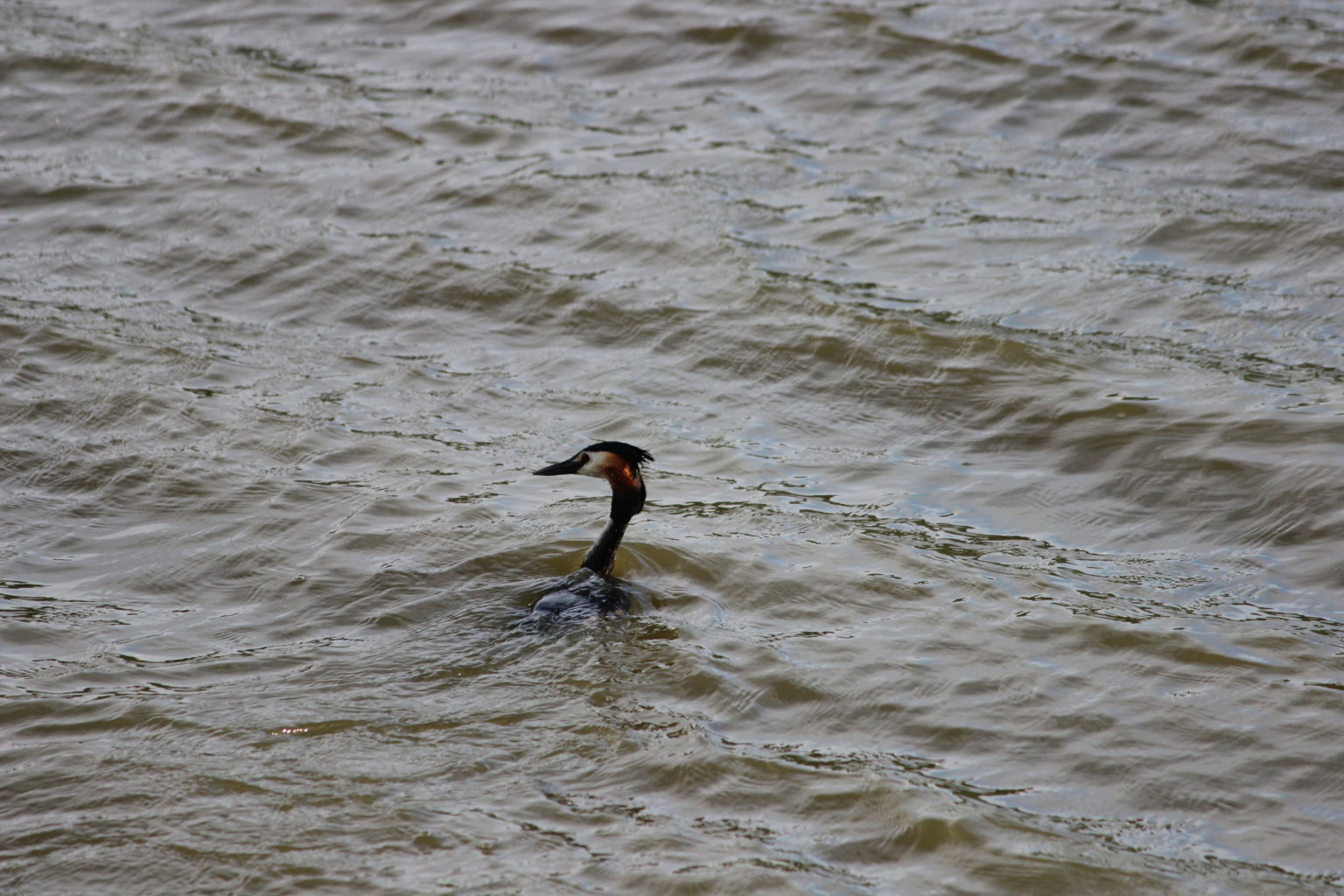 Valokuvaaja: Aila Paija