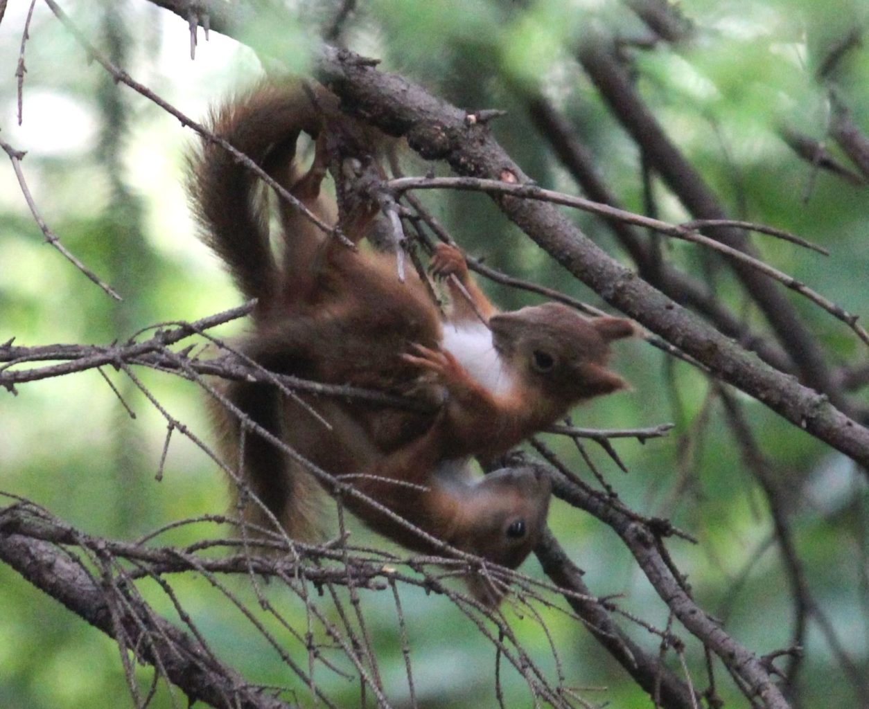 Valokuvaaja: Tuula Vilva Valokuvaaja: Tuula Vilva