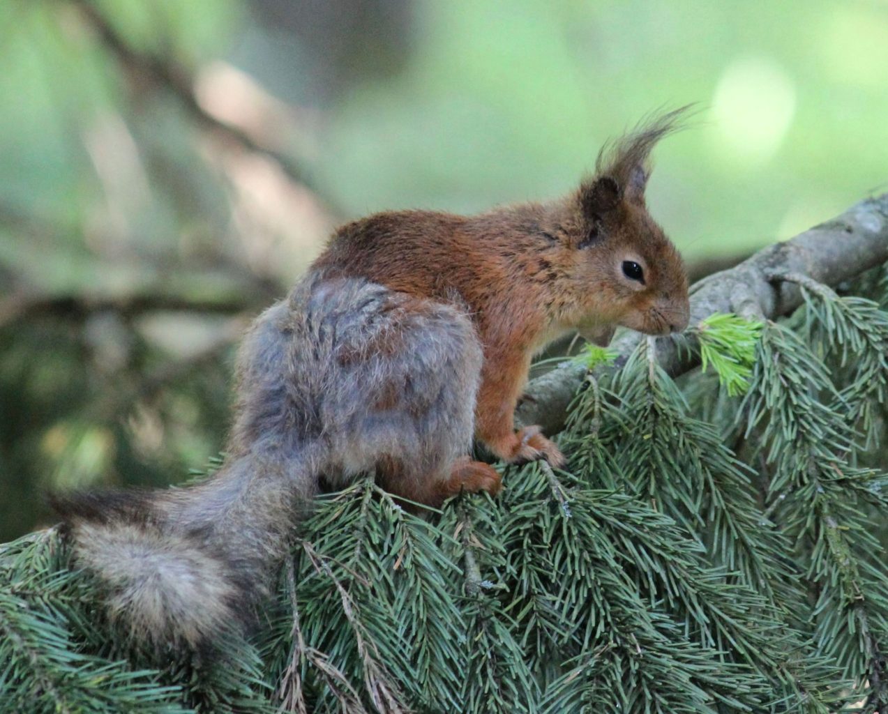 Valokuvaaja: Tuula Vilva