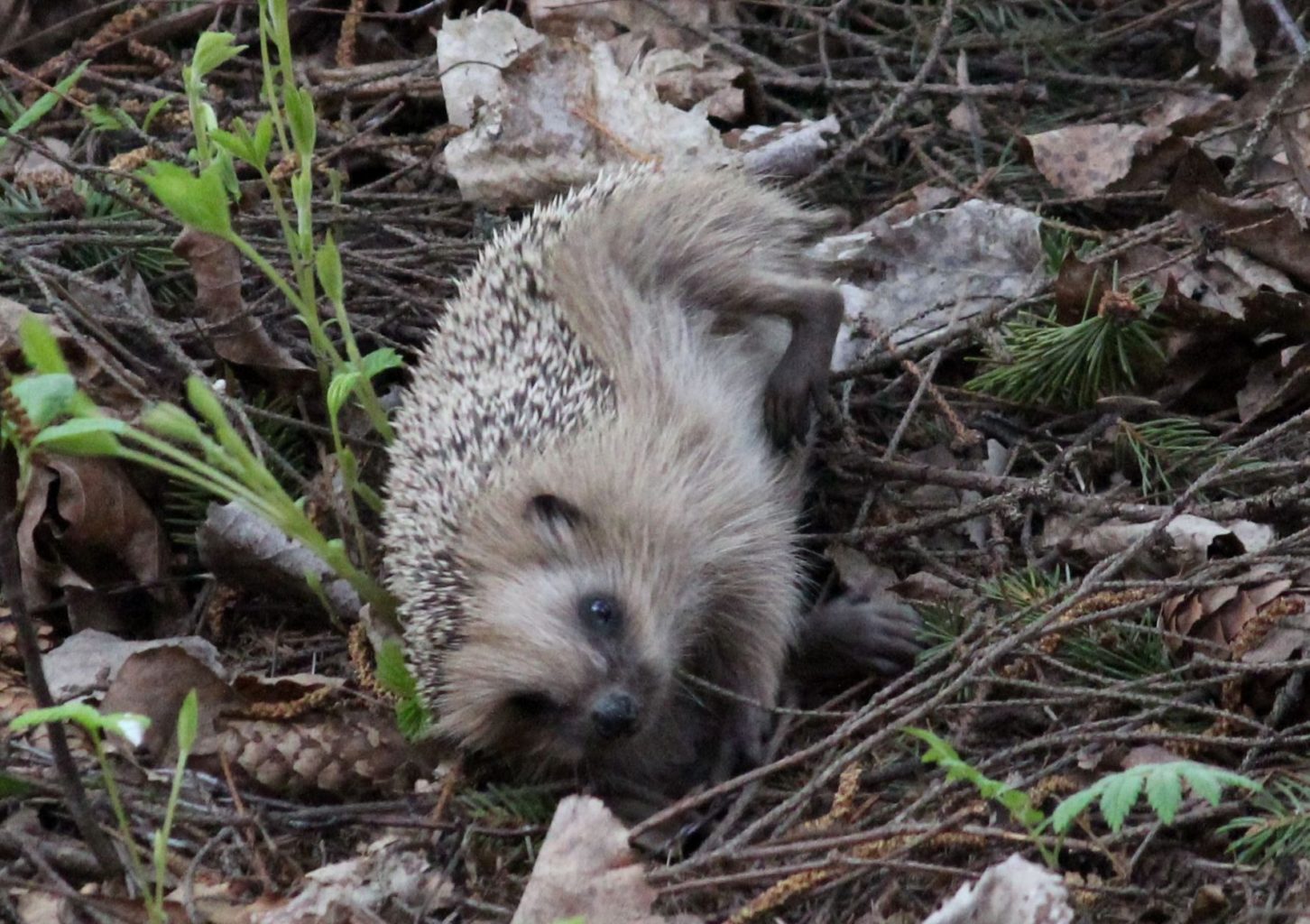 Valokuvaaja: Tuula Vilva