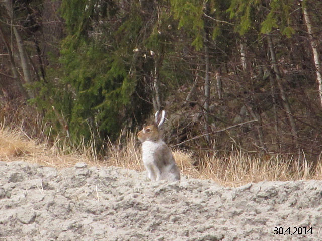 Valokuvaaja: Tuula Makkonen