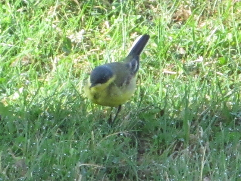 Valokuvaaja: Tuula Makkonen