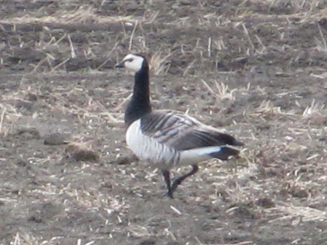 Valokuvaaja: Tuula Makkonen