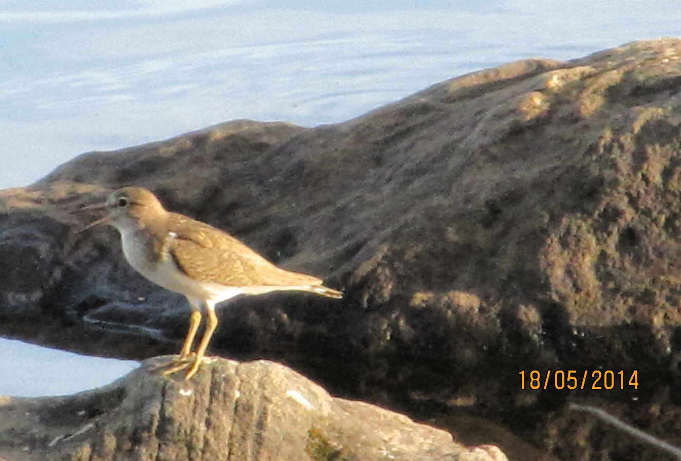 Valokuvaaja: Tuula Makkonen