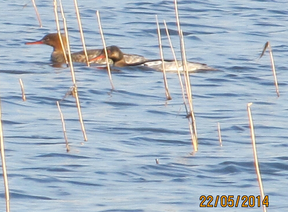 Valokuvaaja: Tuula Makkonen