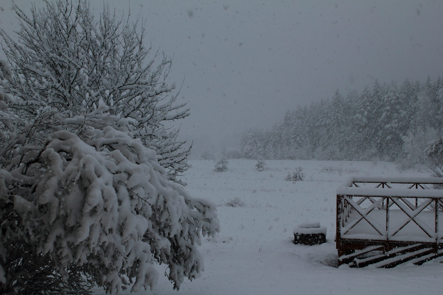 Valokuvaaja: Lasse Ylisaari