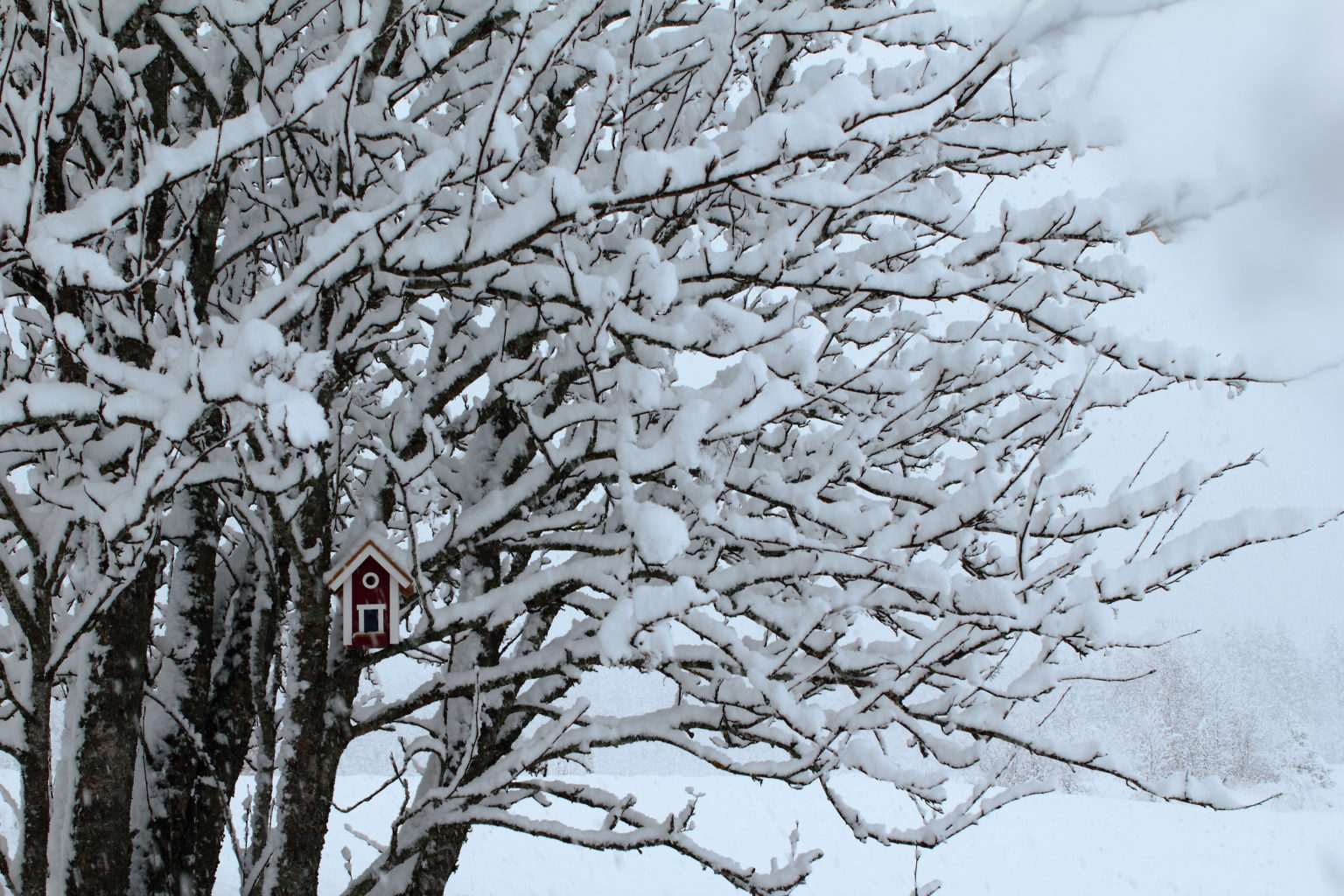 Valokuvaaja: Lasse Ylisaari