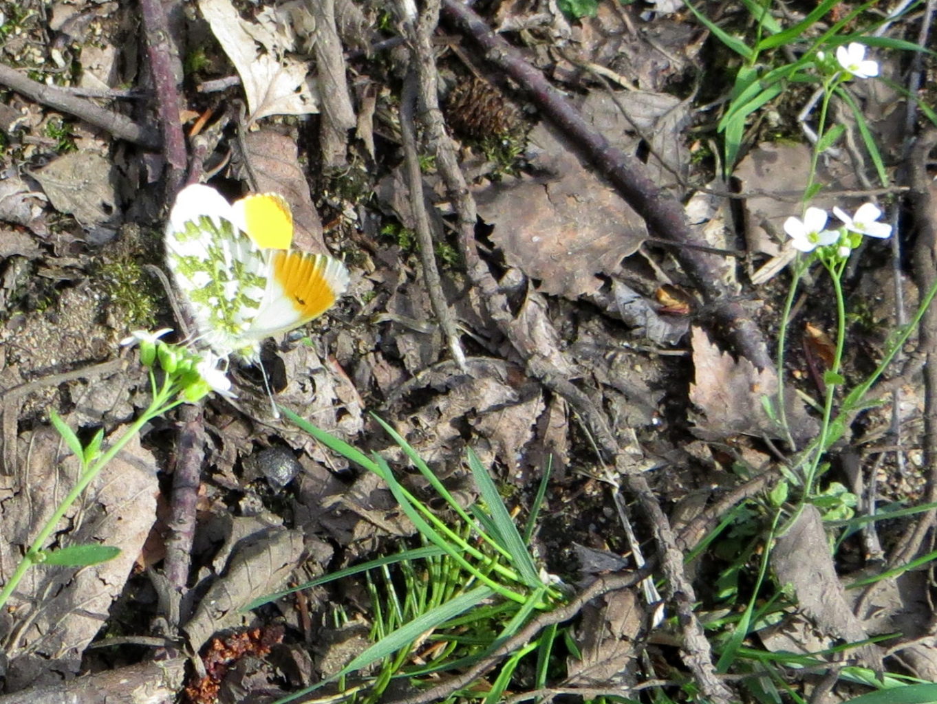 Valokuvaaja: Sirkka Ruotoistenmäki