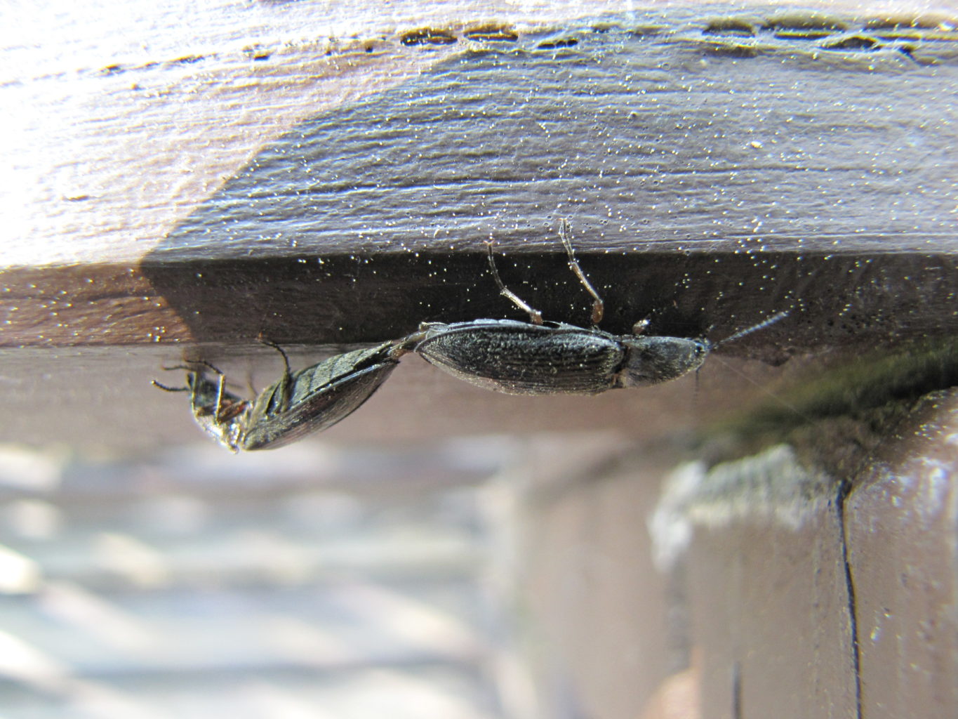 Valokuvaaja: Tuula Makkonen