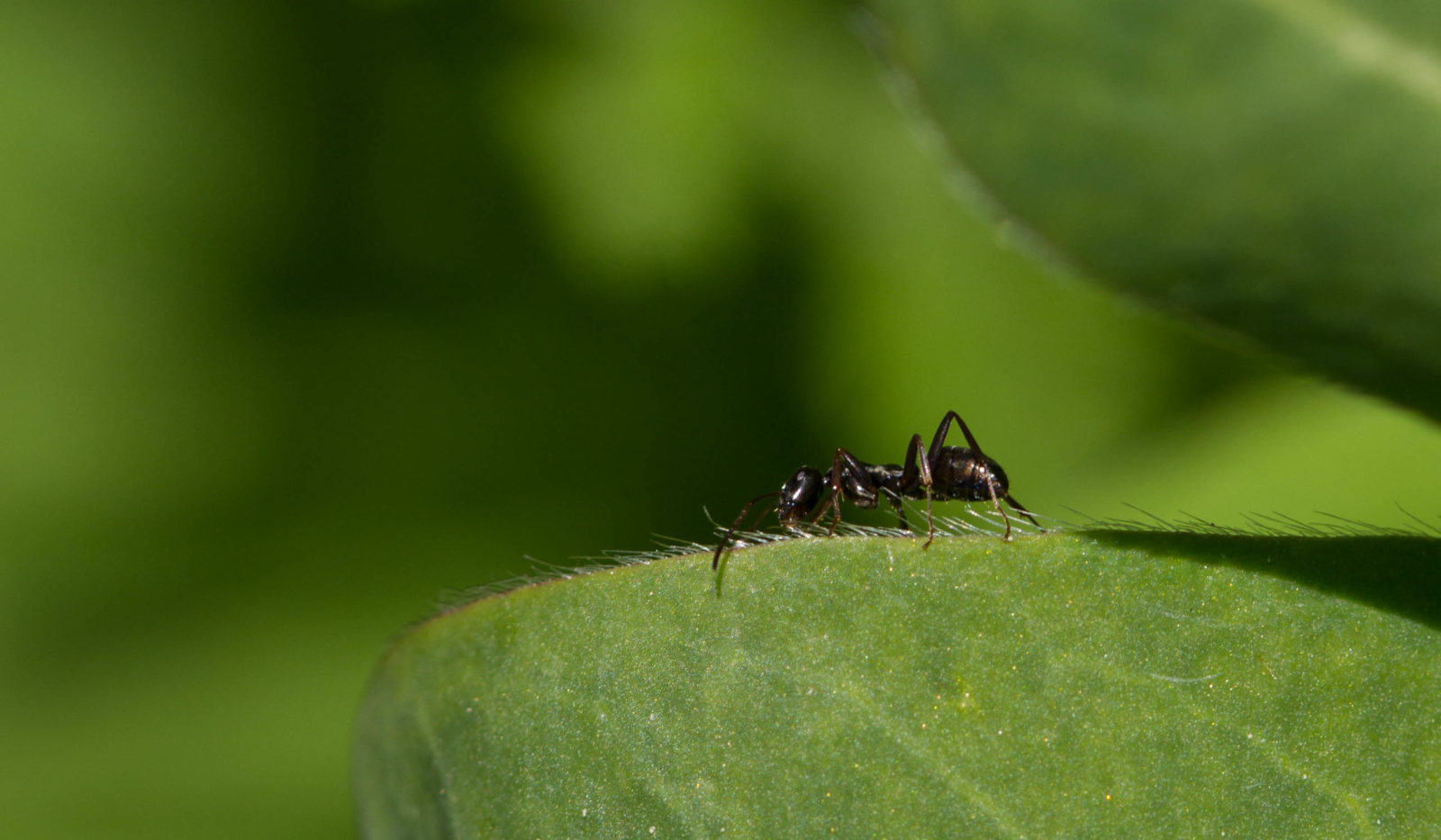 Valokuvaaja: Henri Virtanen