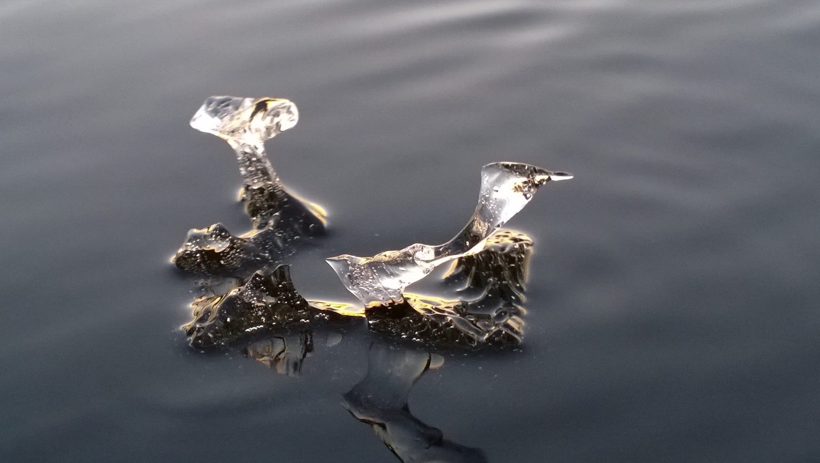 Valokuvaaja: Mikko O Salonvaara