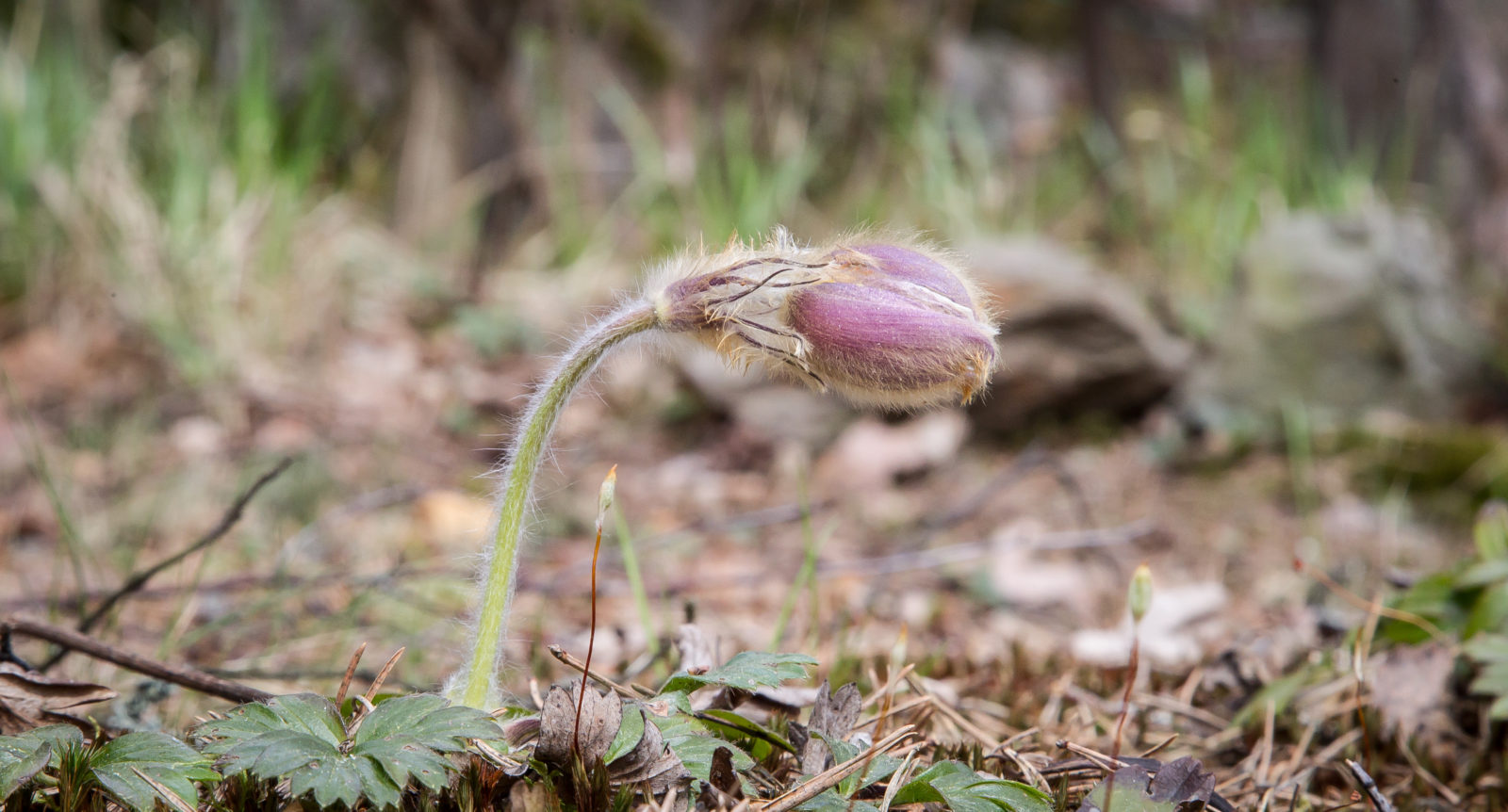 Valokuvaaja: klaus  olsen