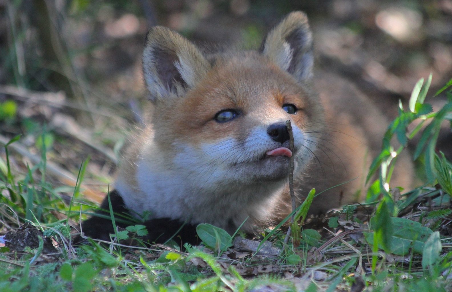 Valokuvaaja: Jonna Östbye