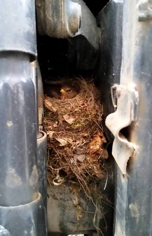 Valokuvaaja: Susanna Jernberg